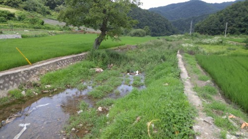 변환묘암천 상류 (1).jpg