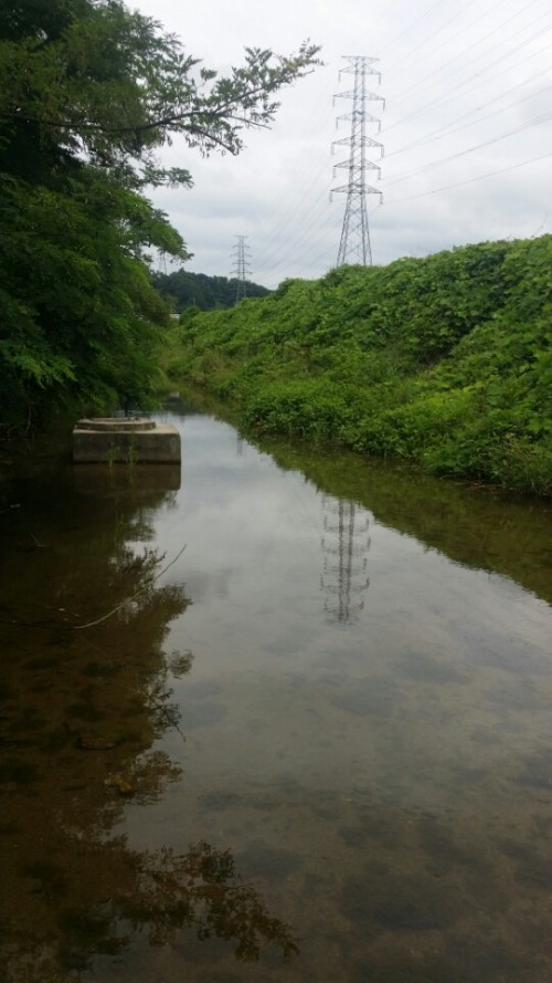 등동천 상류 (1).jpg