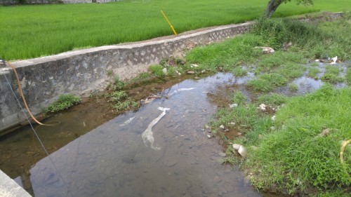 변환묘암천 상류 (5).jpg