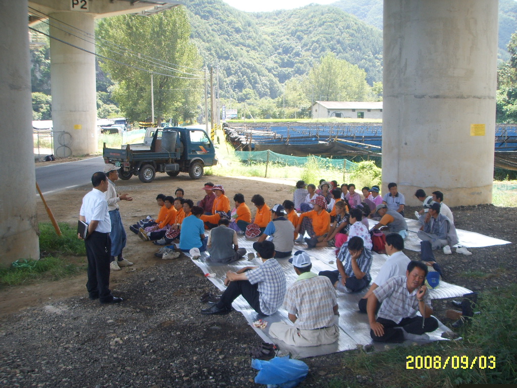 정화활동 008.jpg