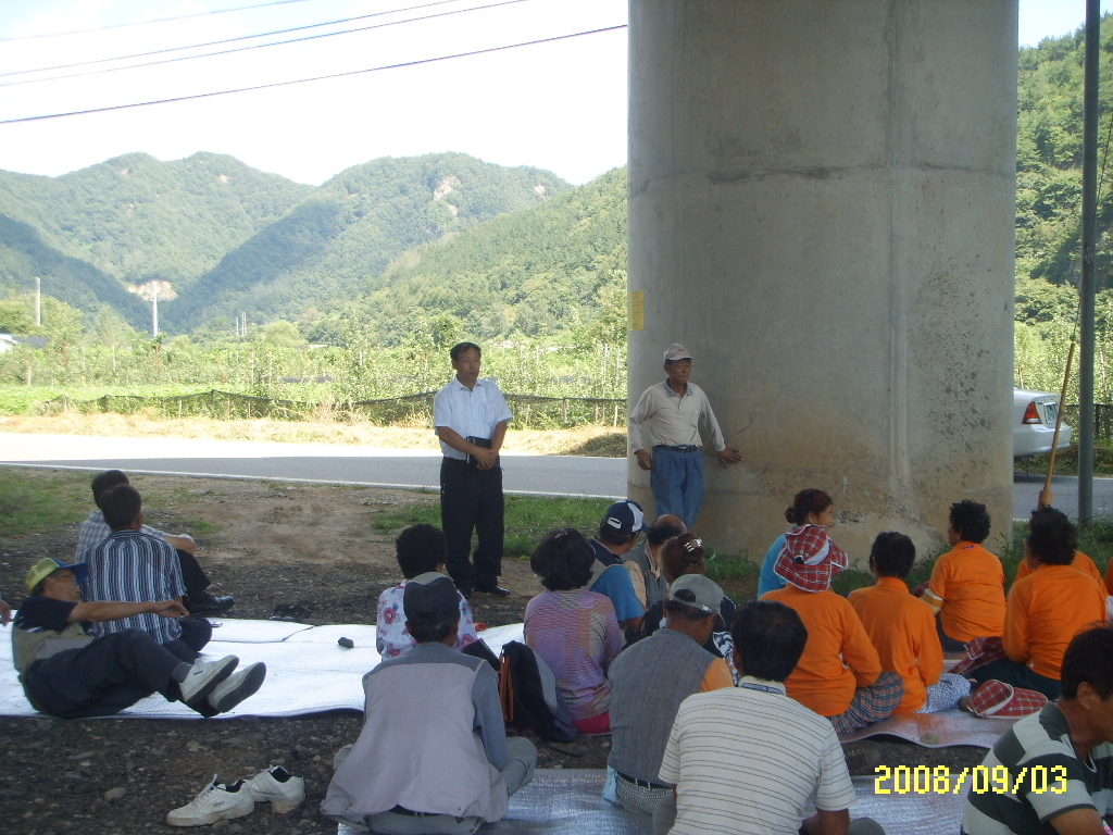 정화활동 010.jpg